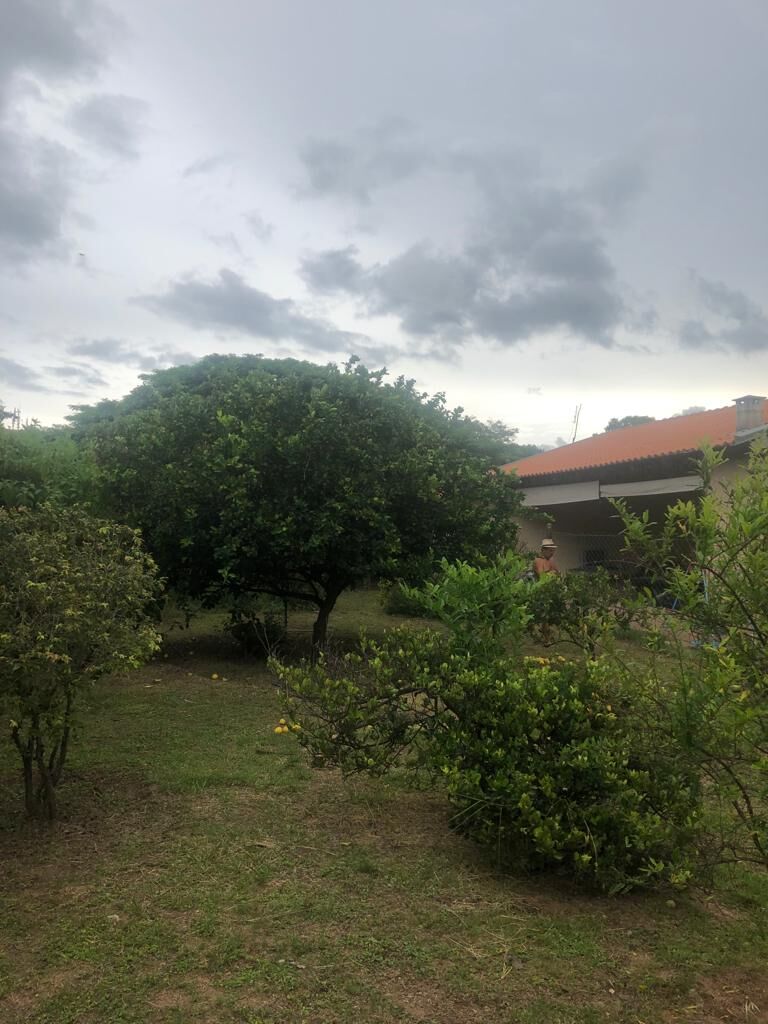 Fazenda à venda com 2 quartos, 2130m² - Foto 34