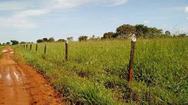 Chácara à venda com 3 quartos - Foto 5