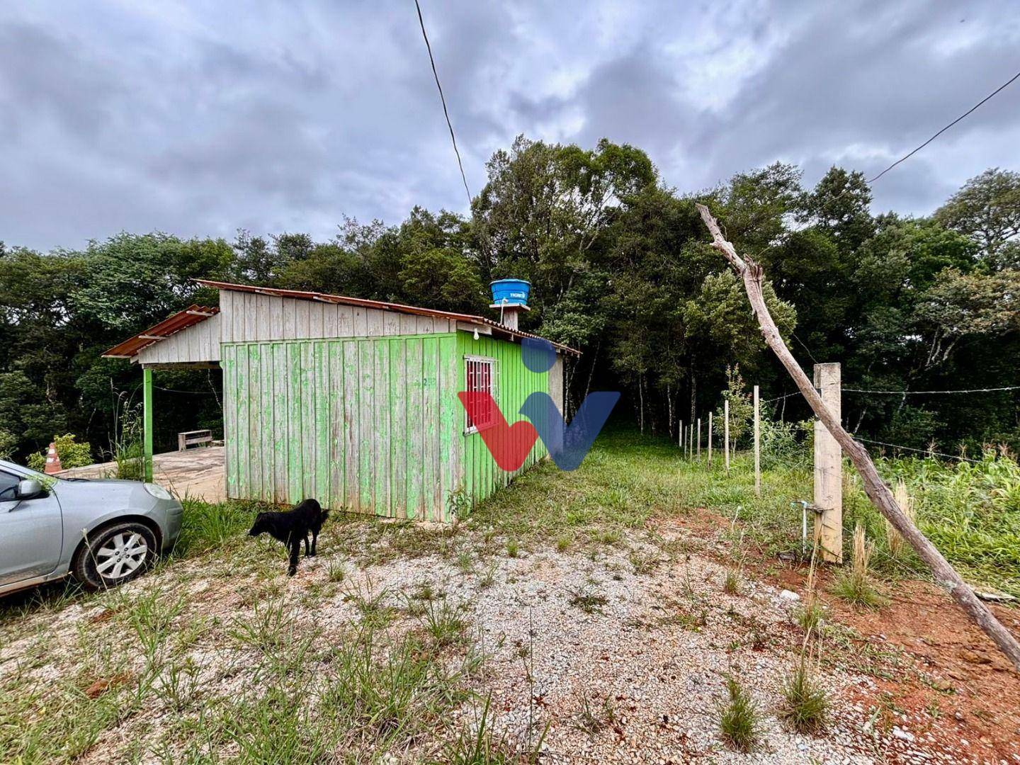 Chácara à venda com 2 quartos, 12000M2 - Foto 5