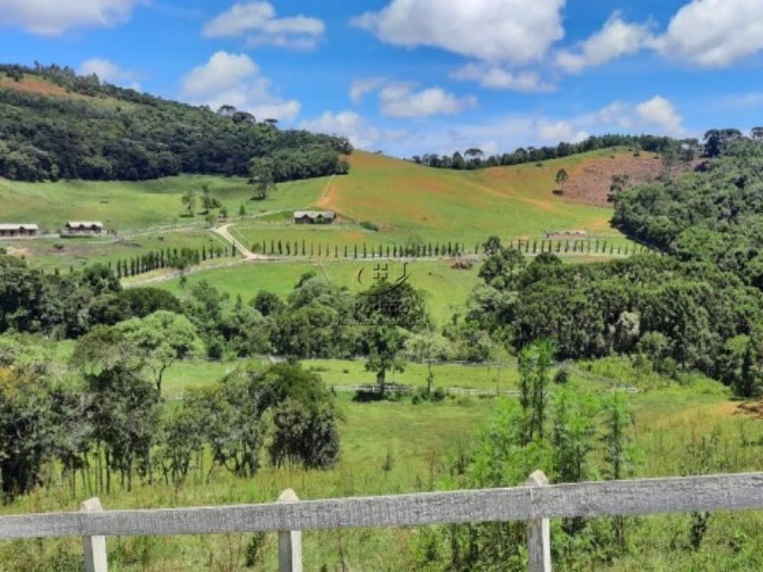 Fazenda à venda com 6 quartos, 1000m² - Foto 28