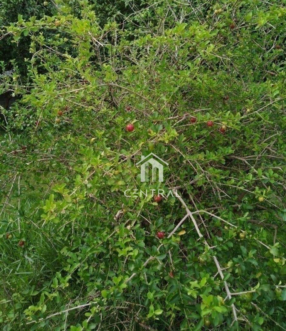 Chácara para alugar, 280m² - Foto 23