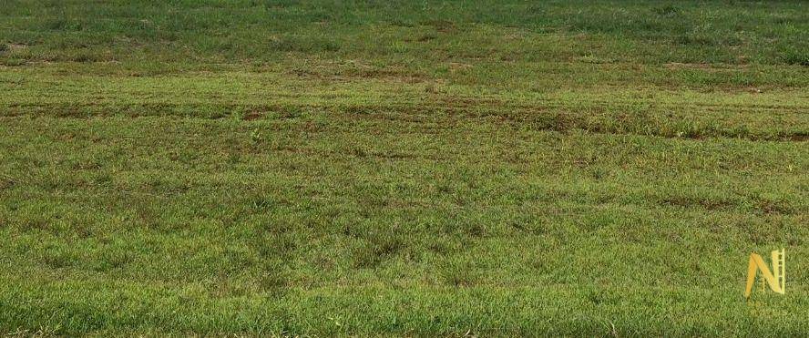 Loteamento e Condomínio, 1560 m² - Foto 1