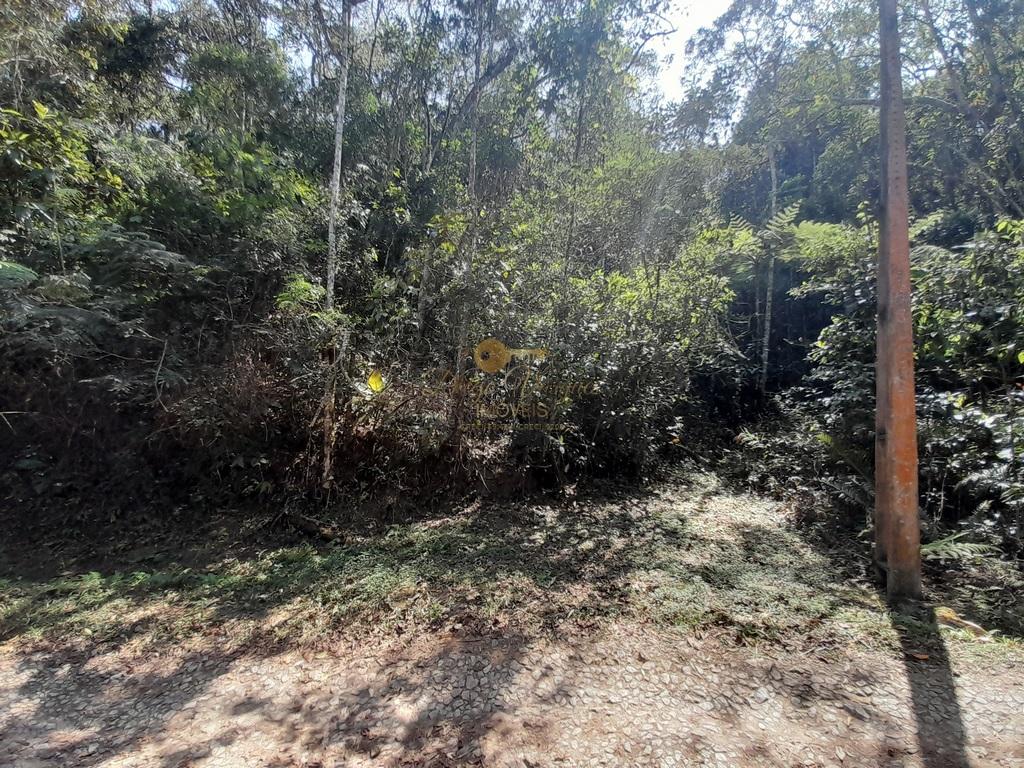 Terreno à venda, 4768m² - Foto 1