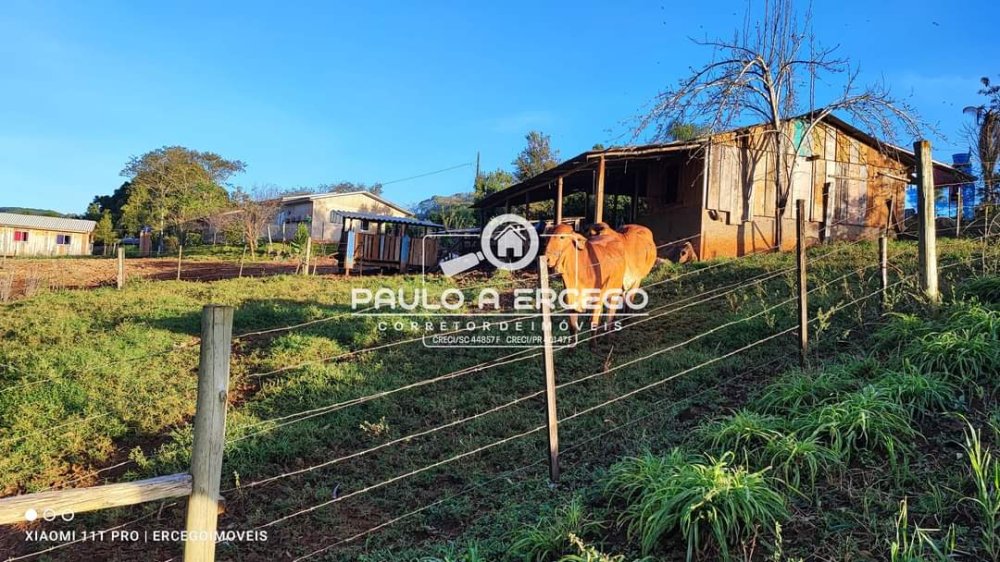 Fazenda à venda com 7 quartos, 270m² - Foto 10