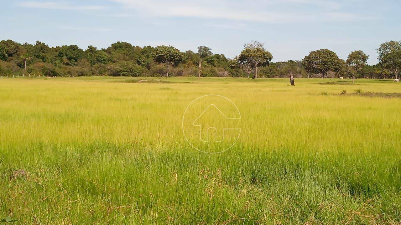 Fazenda à venda, 8800000M2 - Foto 14