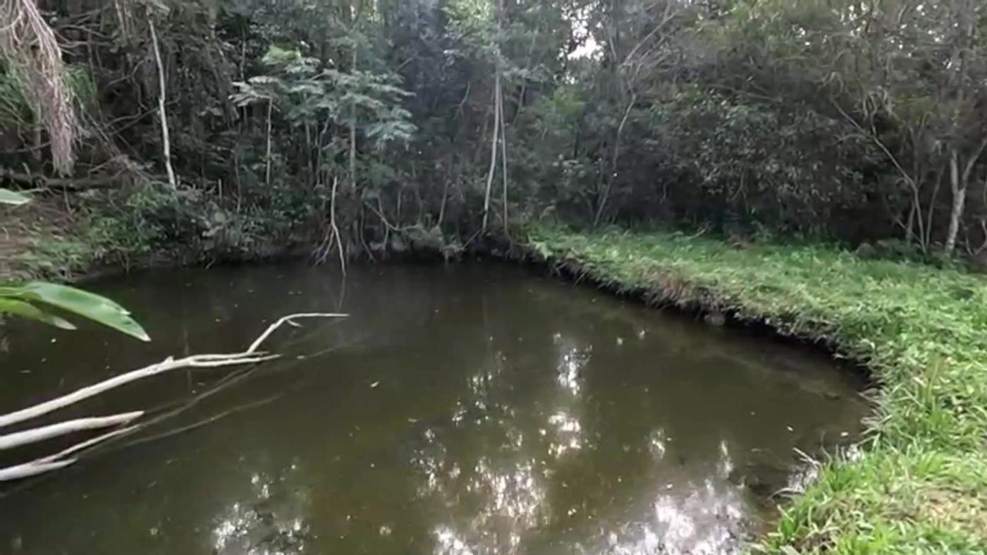Casa de Condomínio à venda com 3 quartos, 3800m² - Foto 41