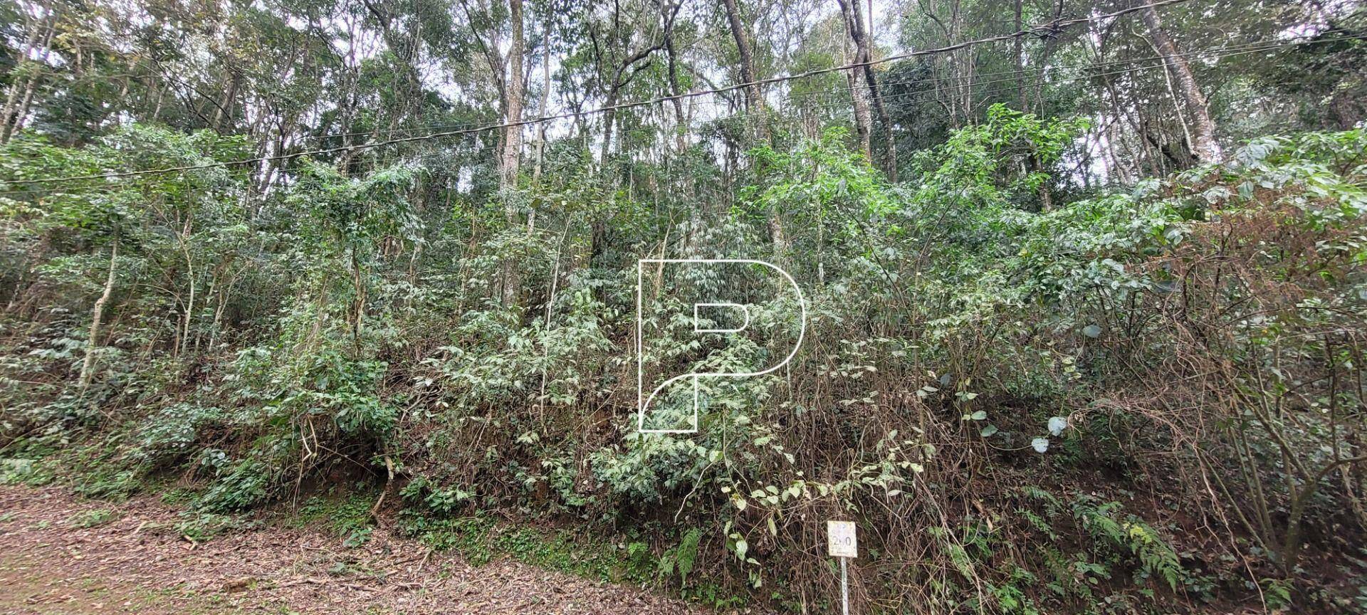 Loteamento e Condomínio, 2568 m² - Foto 7