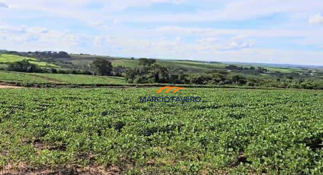 Fazenda, 194 hectares - Foto 1