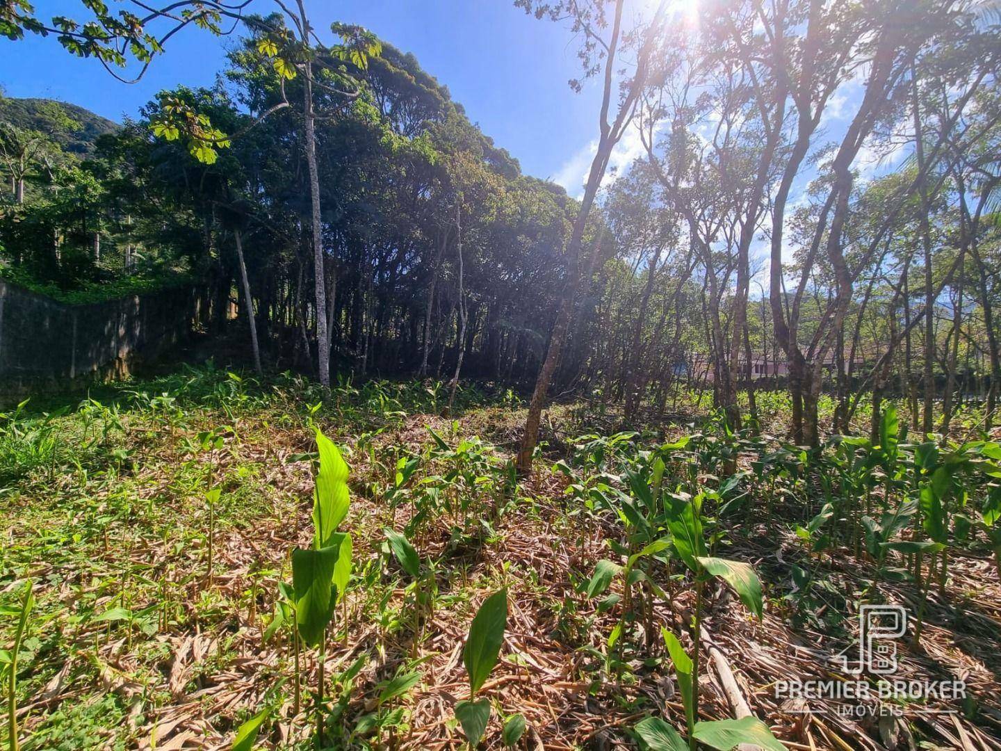 Loteamento e Condomínio à venda, 4430M2 - Foto 1