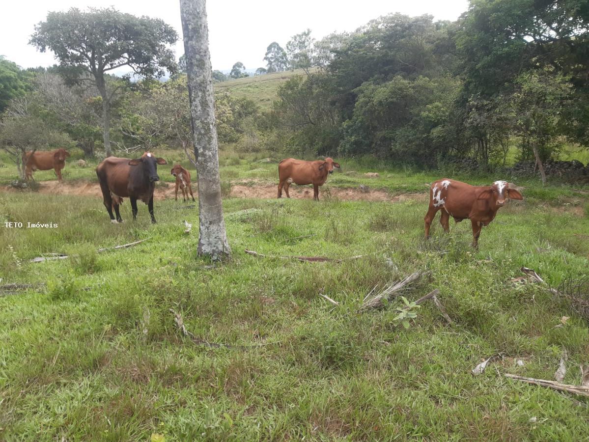 Fazenda à venda com 4 quartos, 36m² - Foto 12