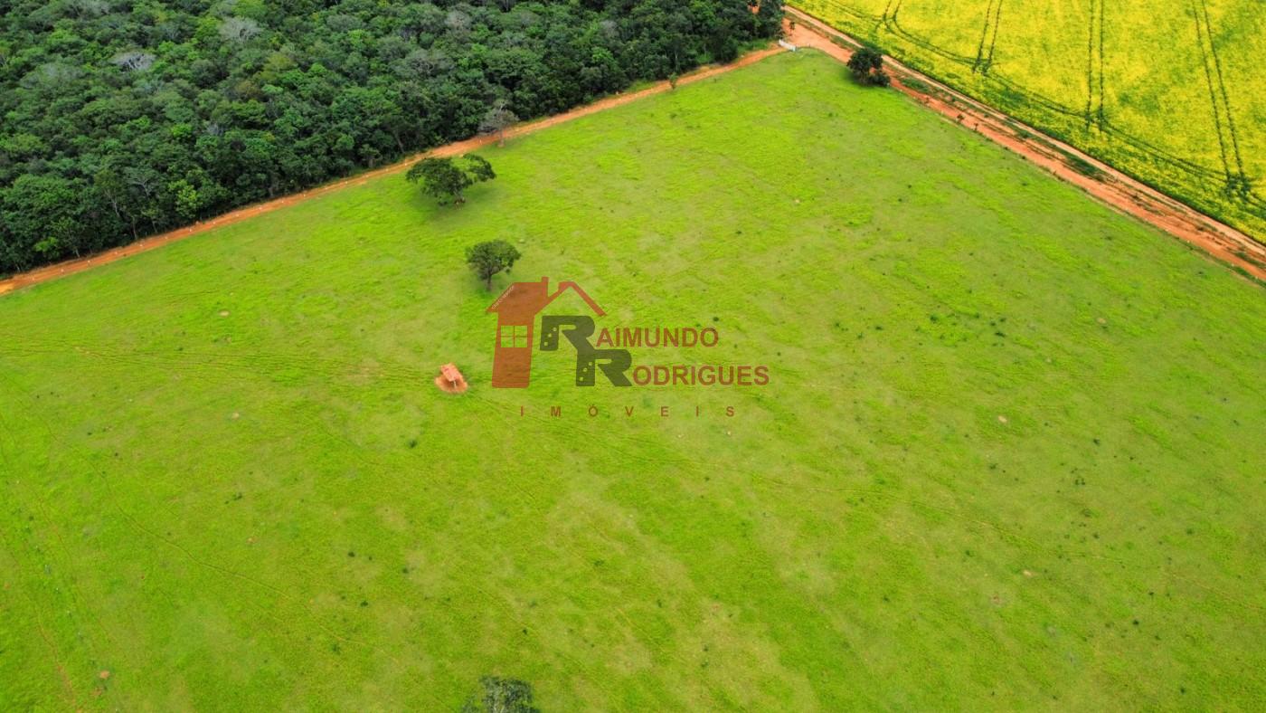 Fazenda-Sítio-Chácara, 50 m² - Foto 20