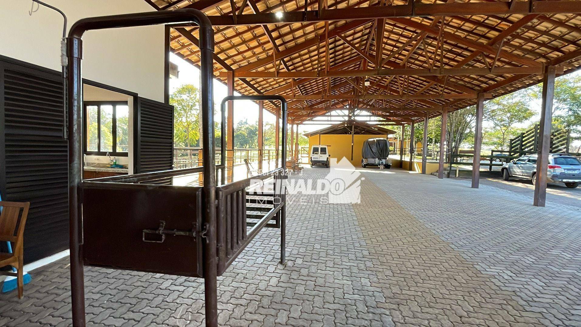 Haras e Área Rural Padrão à venda com 4 quartos, 1050m² - Foto 21