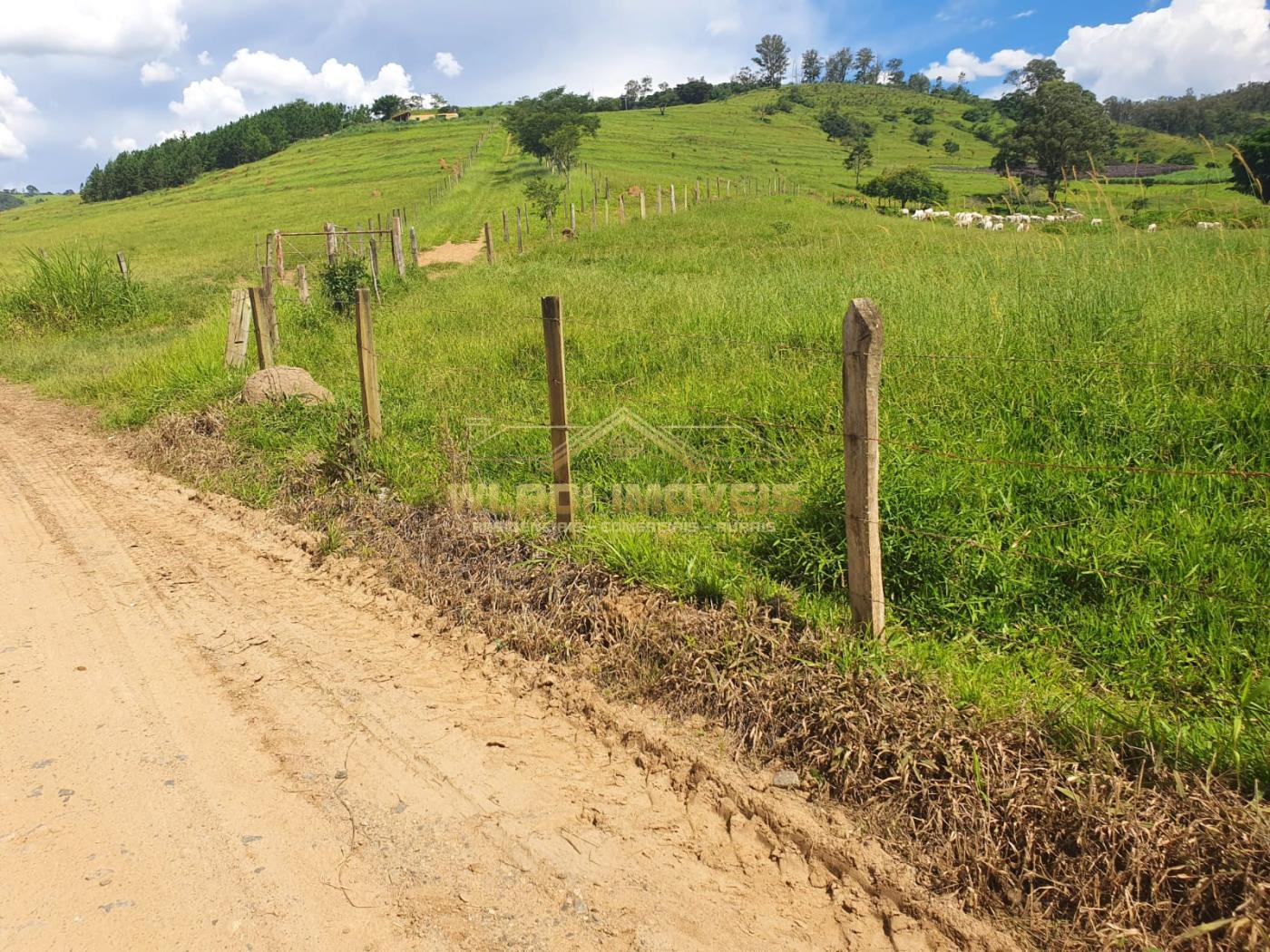 Fazenda à venda, 224m² - Foto 19