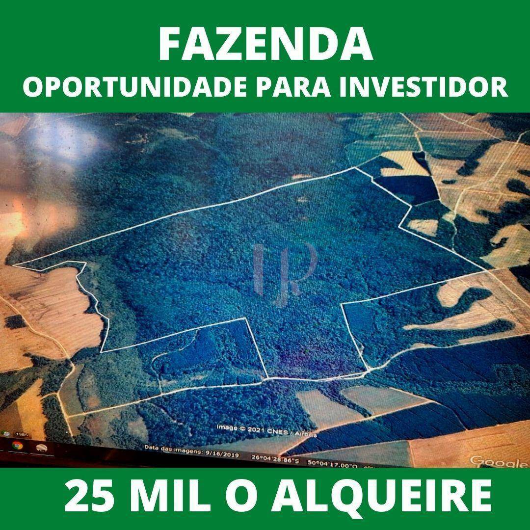 Fazenda, 424 hectares - Foto 1