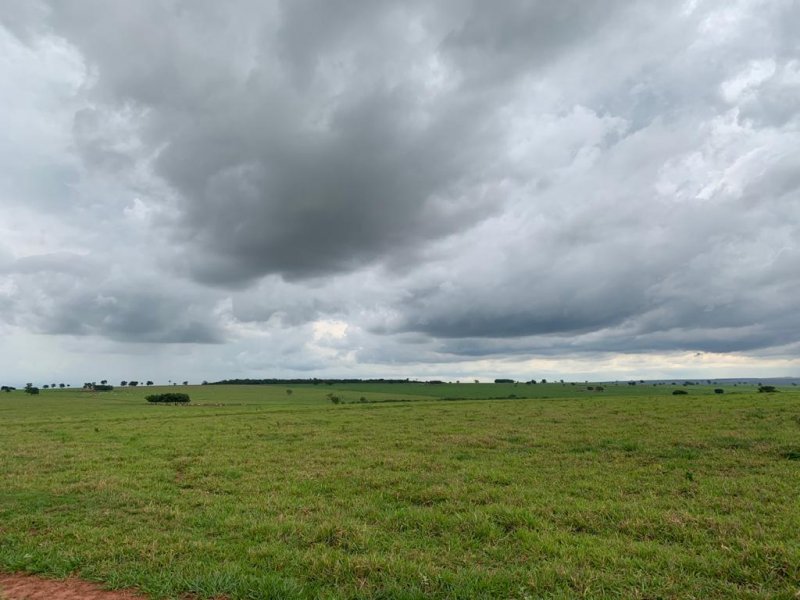 Fazenda à venda, 1007m² - Foto 14