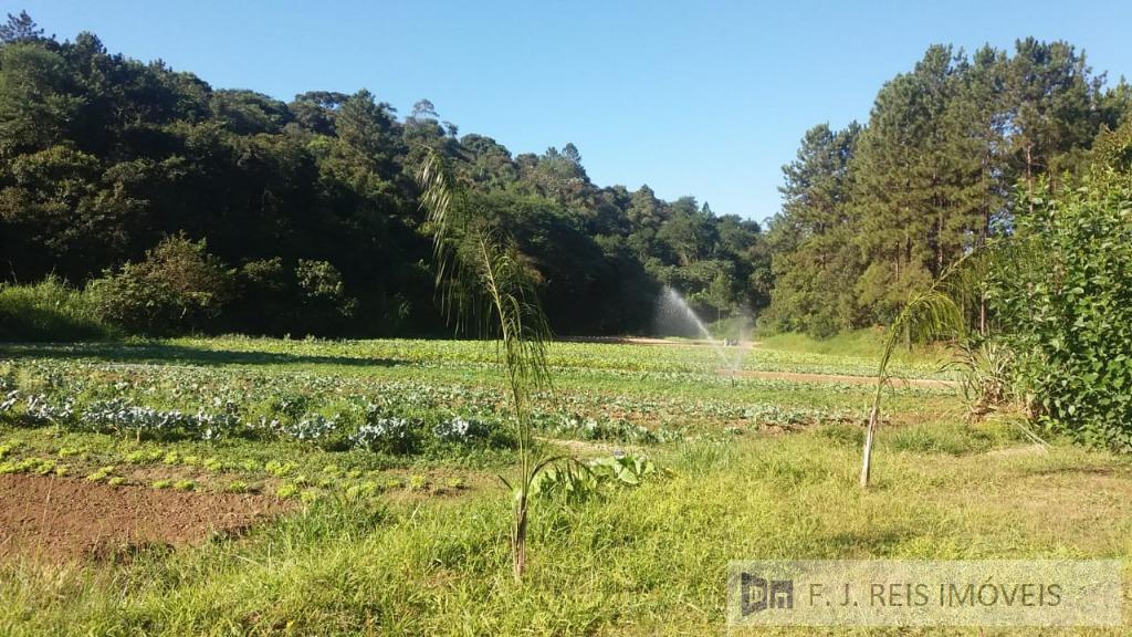 Fazenda à venda com 3 quartos, 8800m² - Foto 23