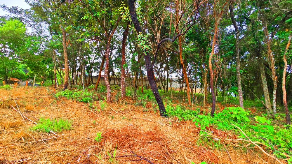 Terreno à venda, 2855m² - Foto 23