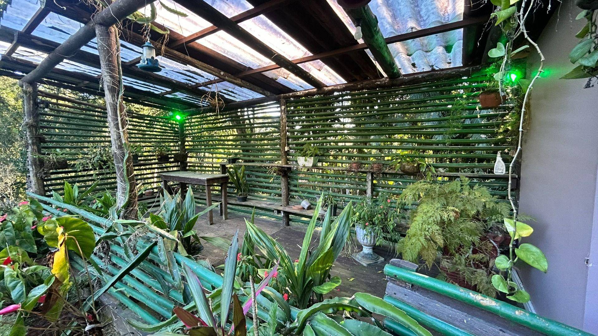 Sítio, 14 hectares - Foto 94