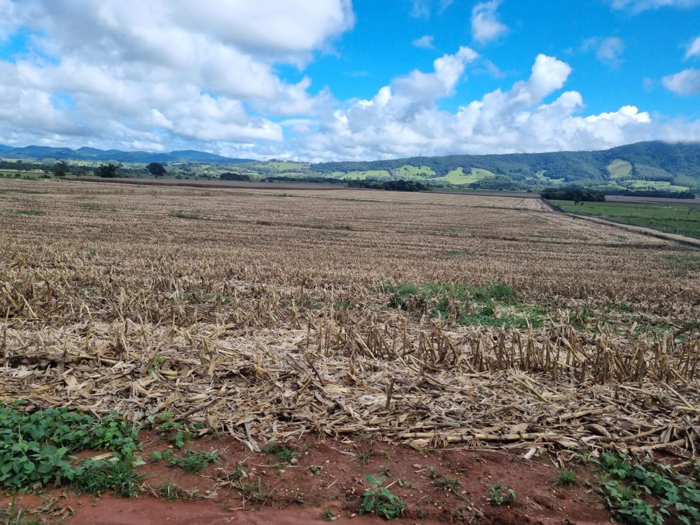 Loteamento e Condomínio à venda, 201m² - Foto 7