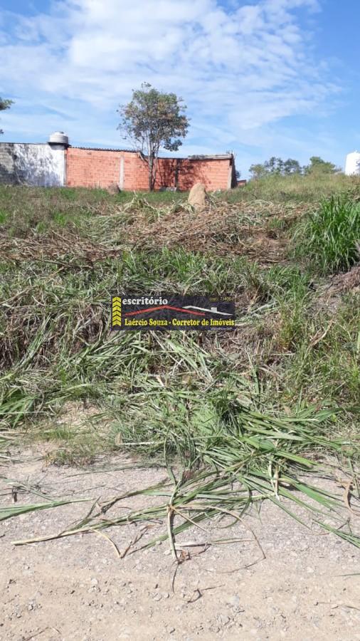 Terreno à venda, 250m² - Foto 4