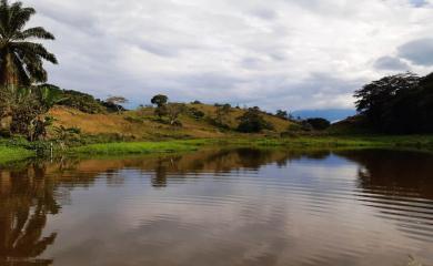 Fazenda à venda com 3 quartos, 110000m² - Foto 11