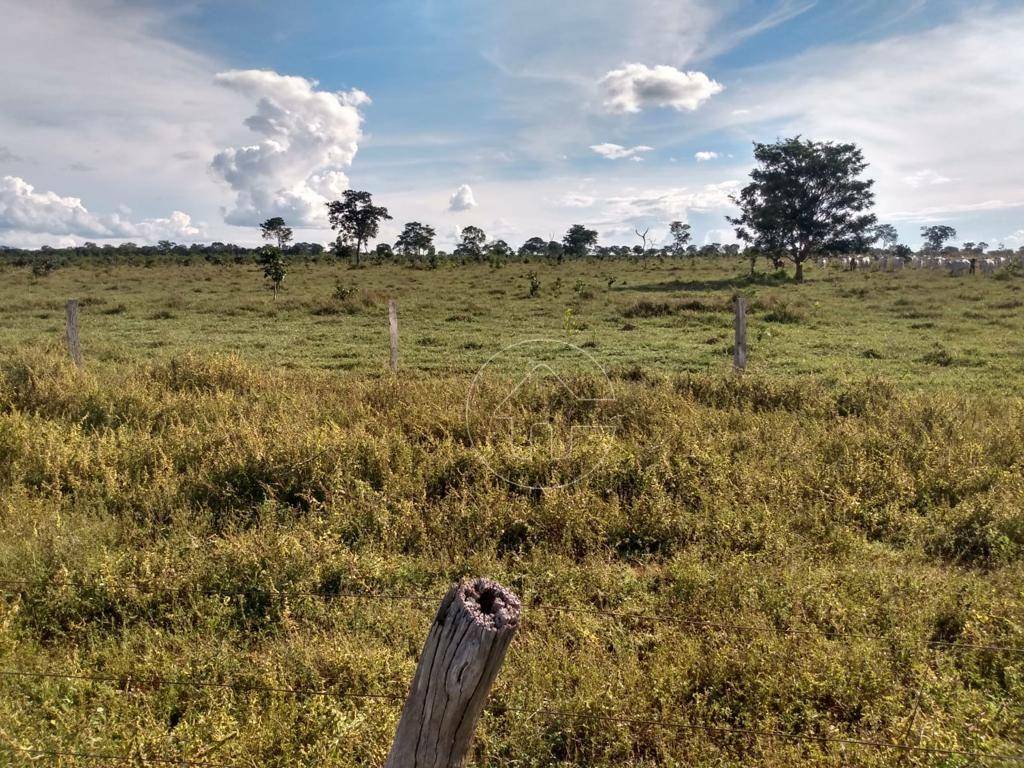 Fazenda-Sítio-Chácara, 987 hectares - Foto 3