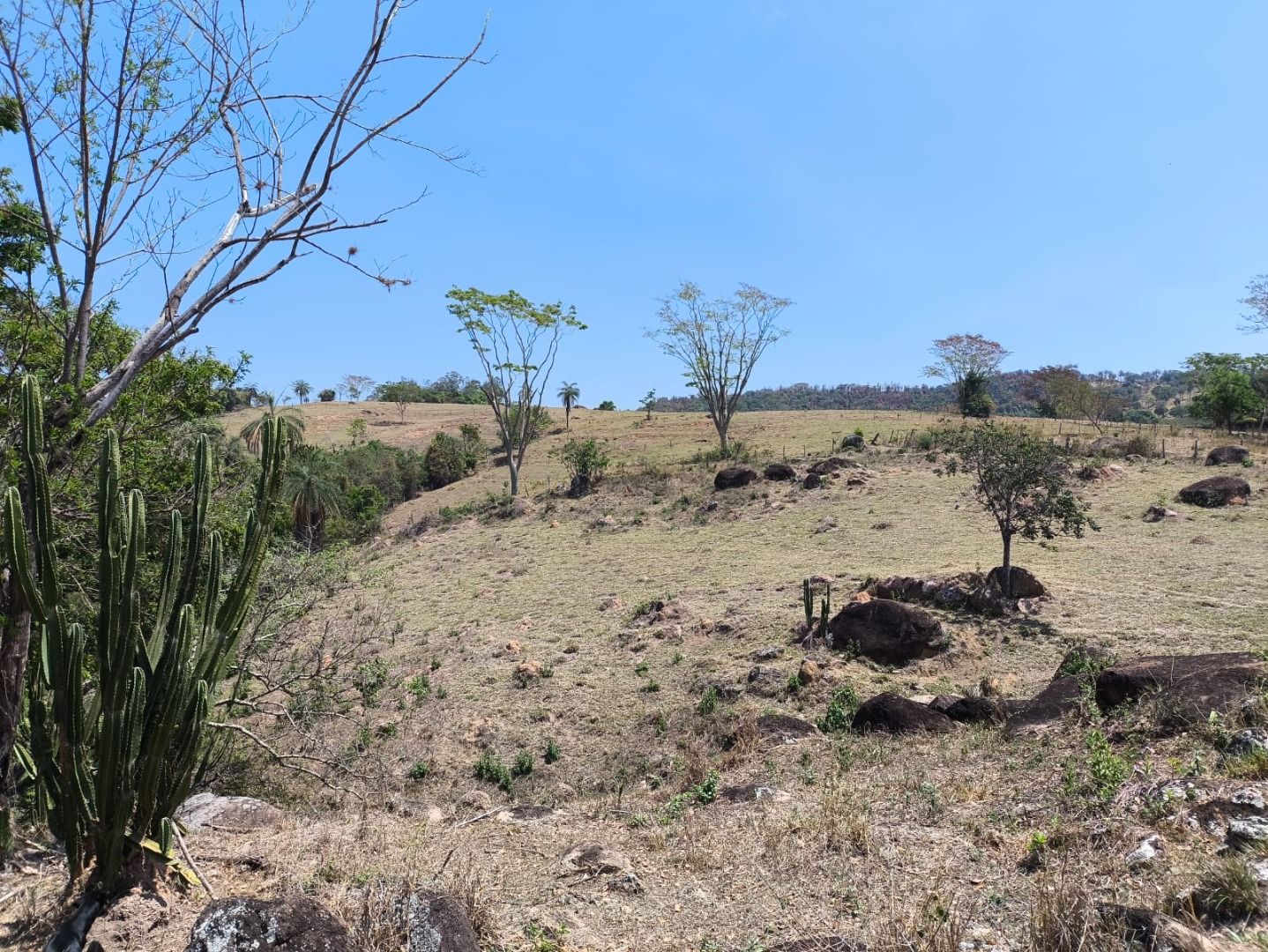 Sítio à venda com 8 quartos, 186000M2 - Foto 26