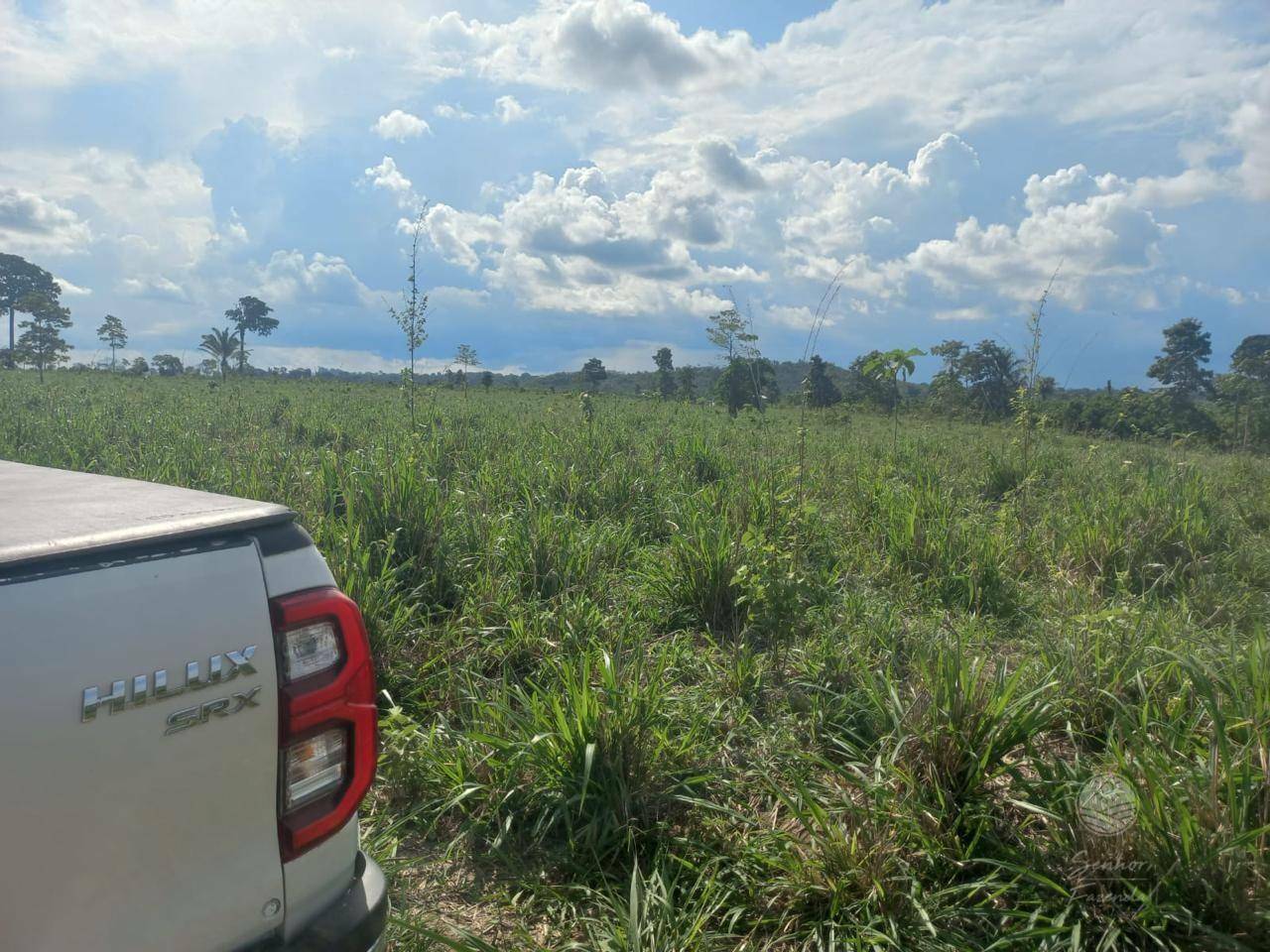 Fazenda à venda, 26620000M2 - Foto 6