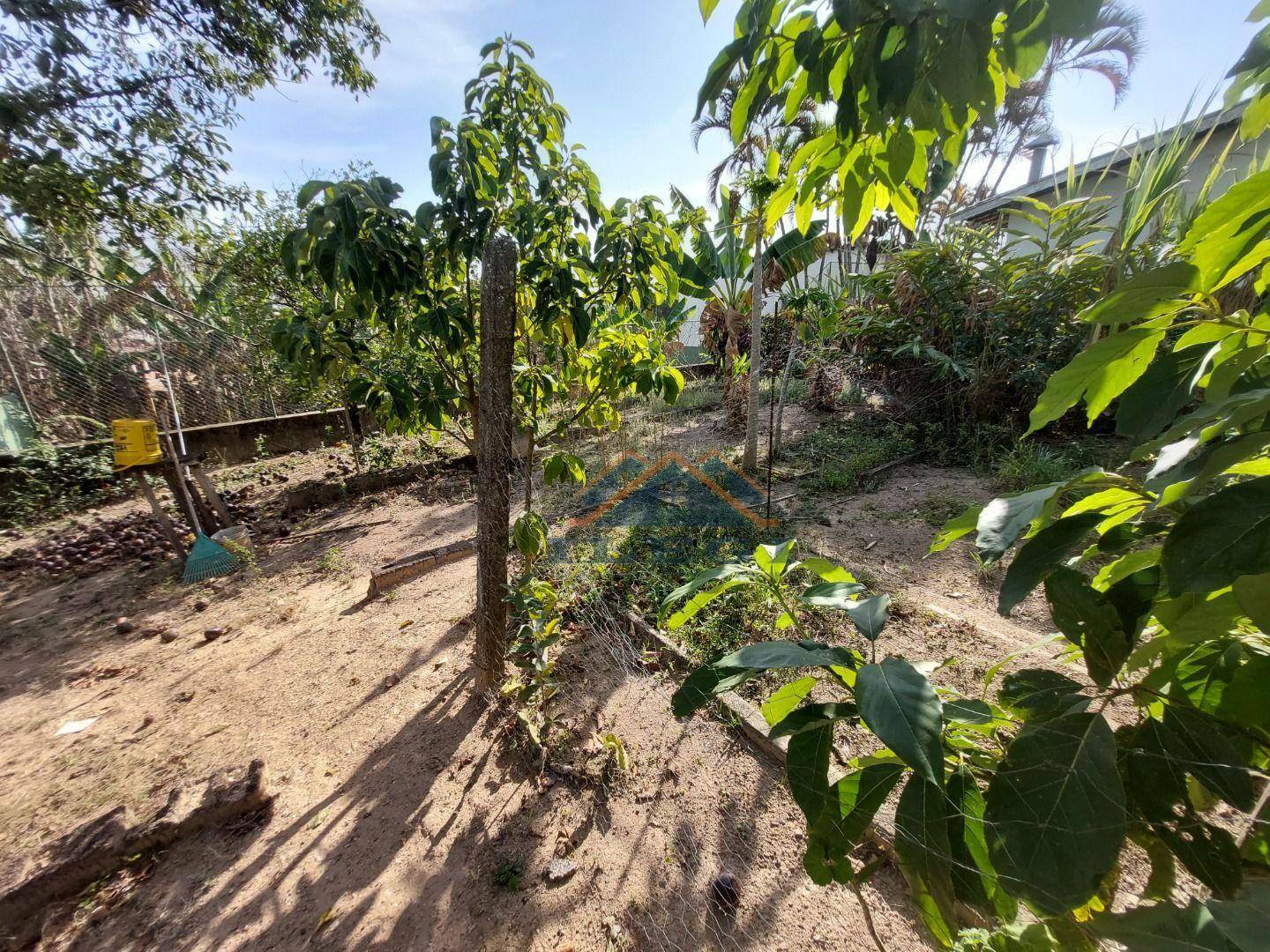 Chácara à venda com 3 quartos, 4000M2 - Foto 49