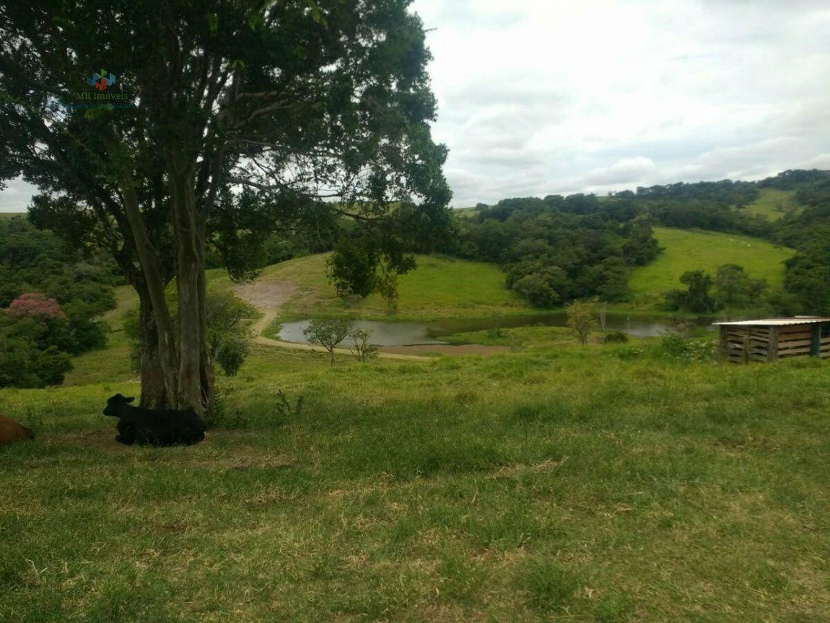 Fazenda à venda com 2 quartos, 1984400m² - Foto 5