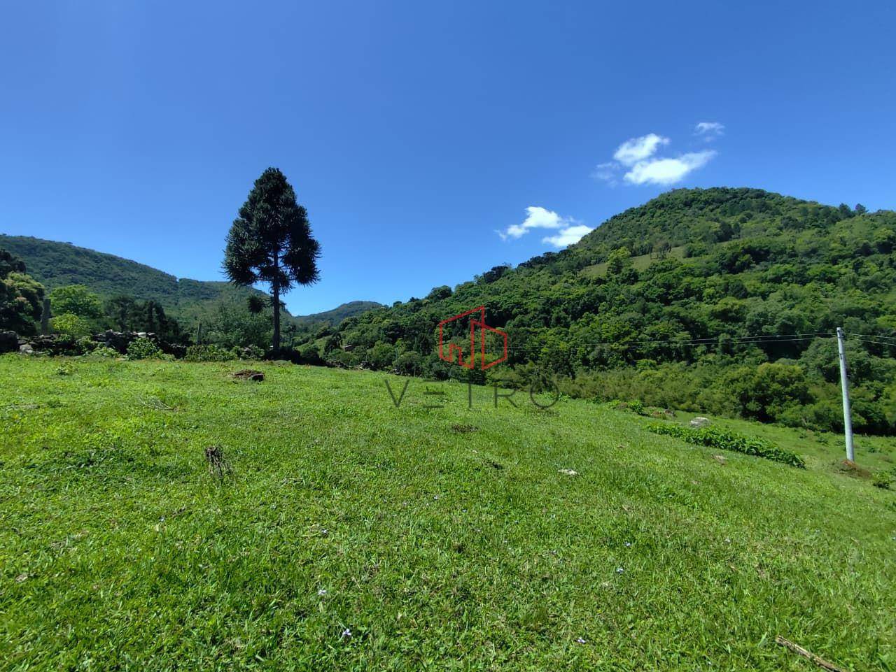 Sítio, 14 hectares - Foto 3