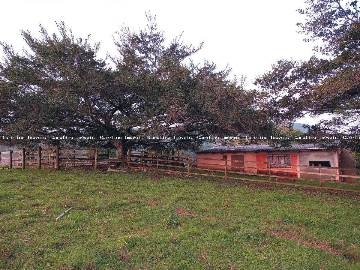 Fazenda à venda com 3 quartos, 23m² - Foto 22