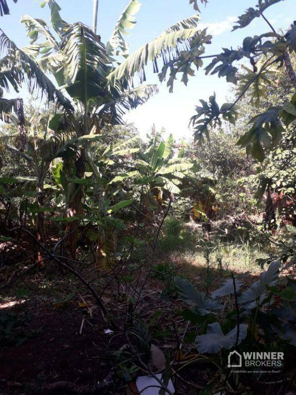 Terreno, 1000 m² - Foto 3