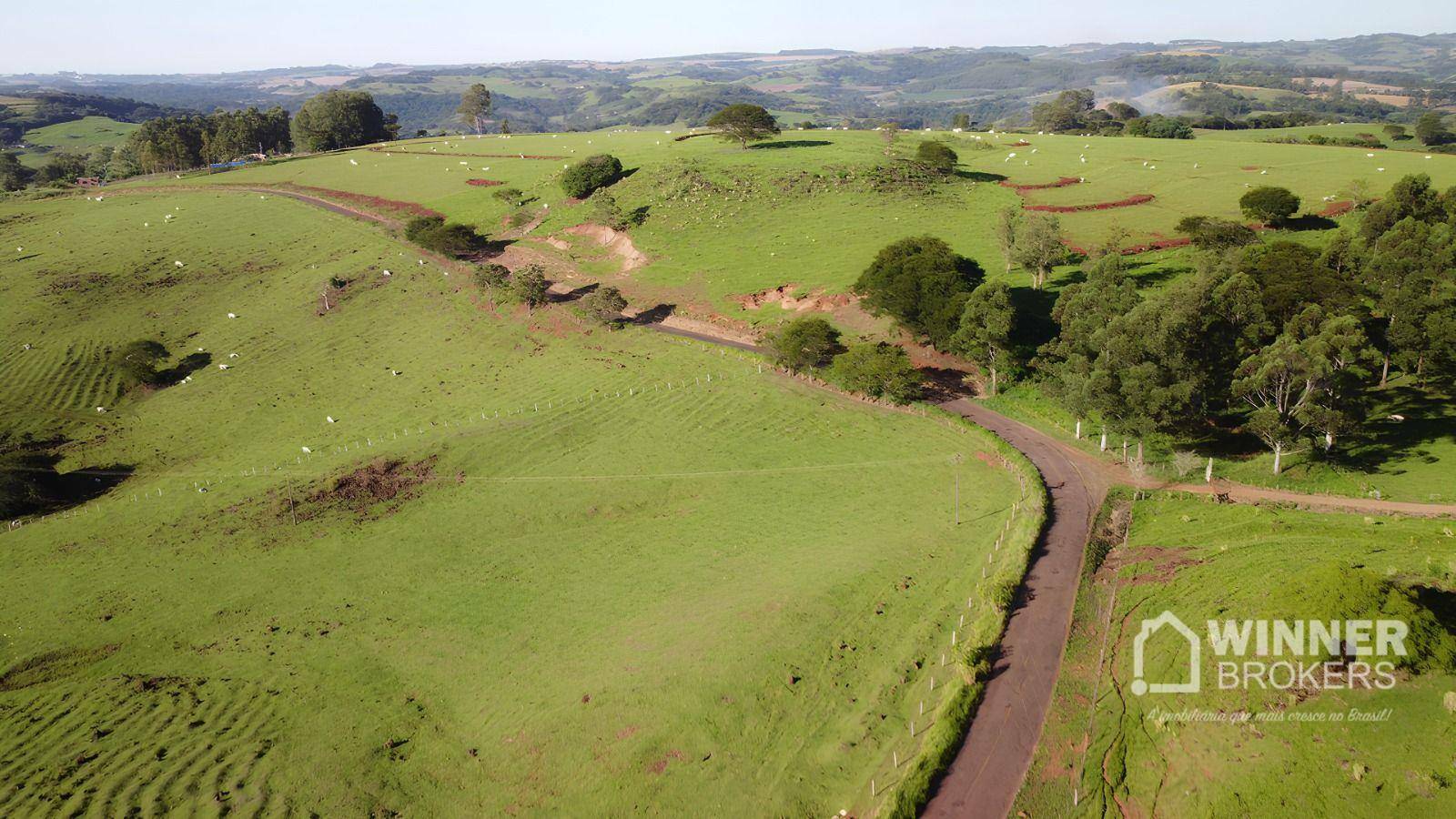 Fazenda à venda com 6 quartos, 600m² - Foto 6