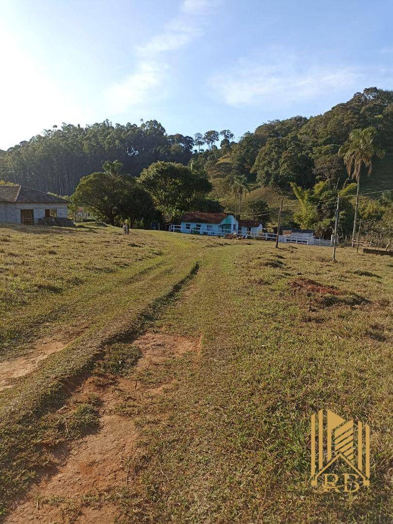 Chácara, 3 quartos, 7000 m² - Foto 2