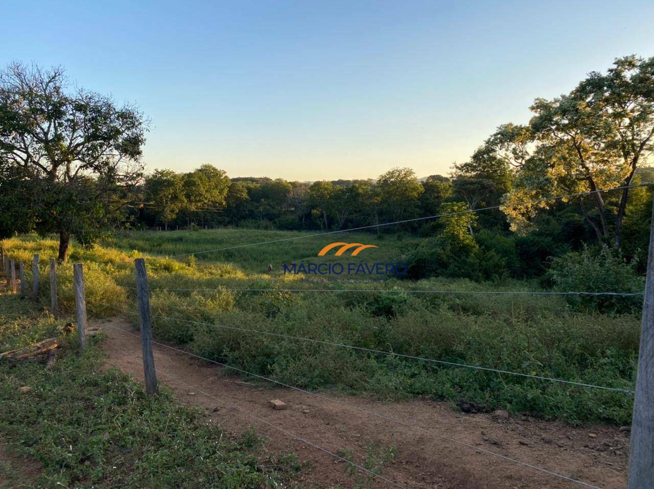 Fazenda, 212 hectares - Foto 3