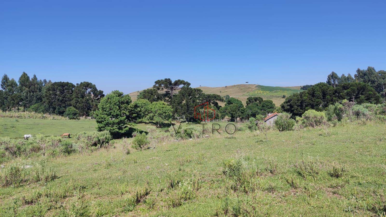 Sítio à venda com 3 quartos, 37000M2 - Foto 20