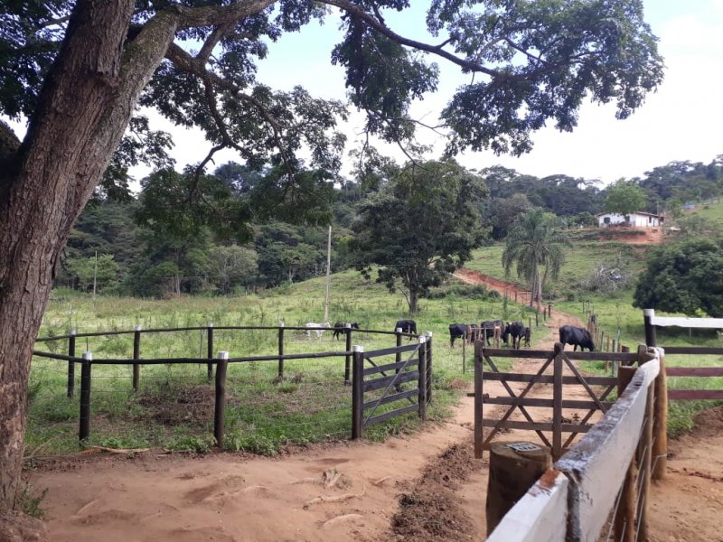 Fazenda à venda, 441m² - Foto 1