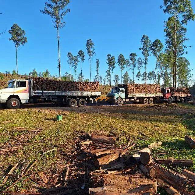 Fazenda à venda, 1210000M2 - Foto 4