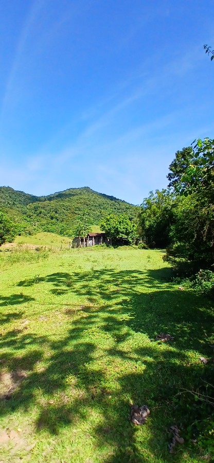 Fazenda à venda com 4 quartos, 257m² - Foto 24