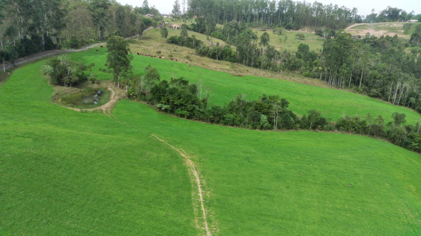 Fazenda à venda com 3 quartos, 205000m² - Foto 16