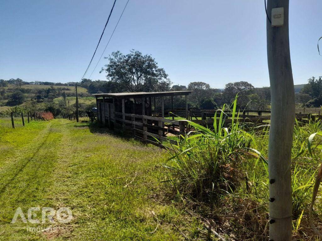 Chácara à venda com 4 quartos, 300m² - Foto 18