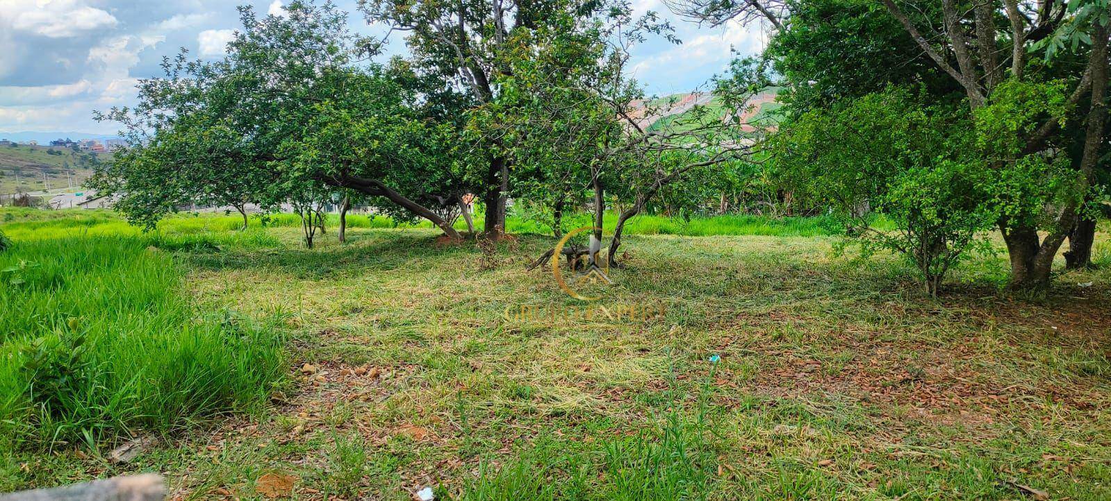 Terreno à venda, 18596M2 - Foto 2