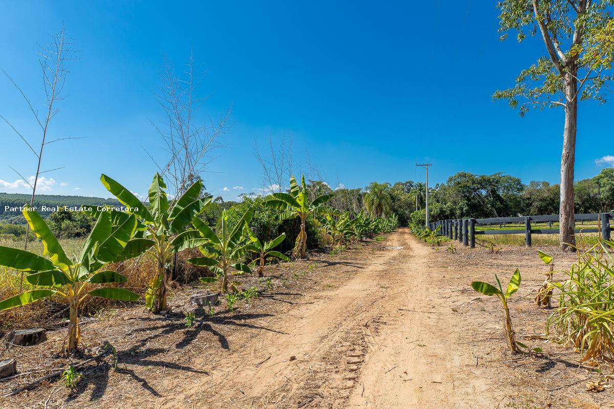 Fazenda à venda com 3 quartos, 133100m² - Foto 20