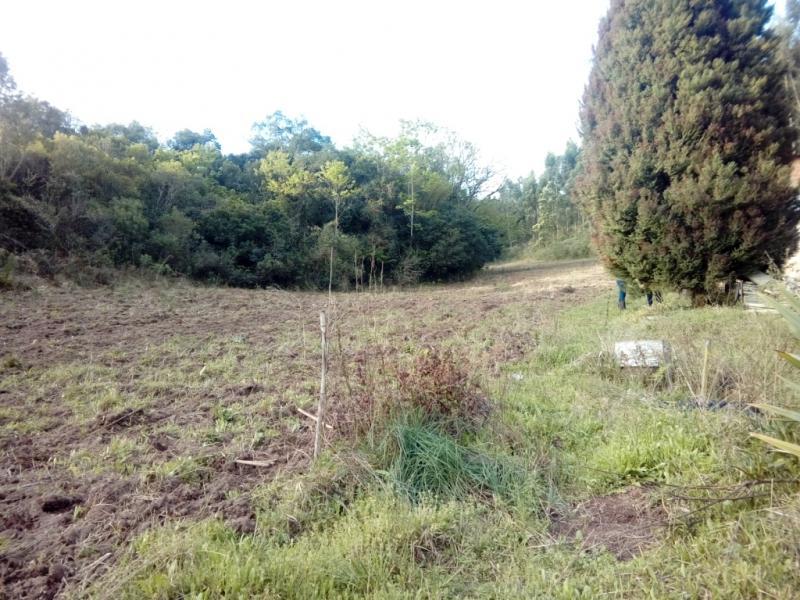 Sítio à venda com 1 quarto, 30000m² - Foto 11