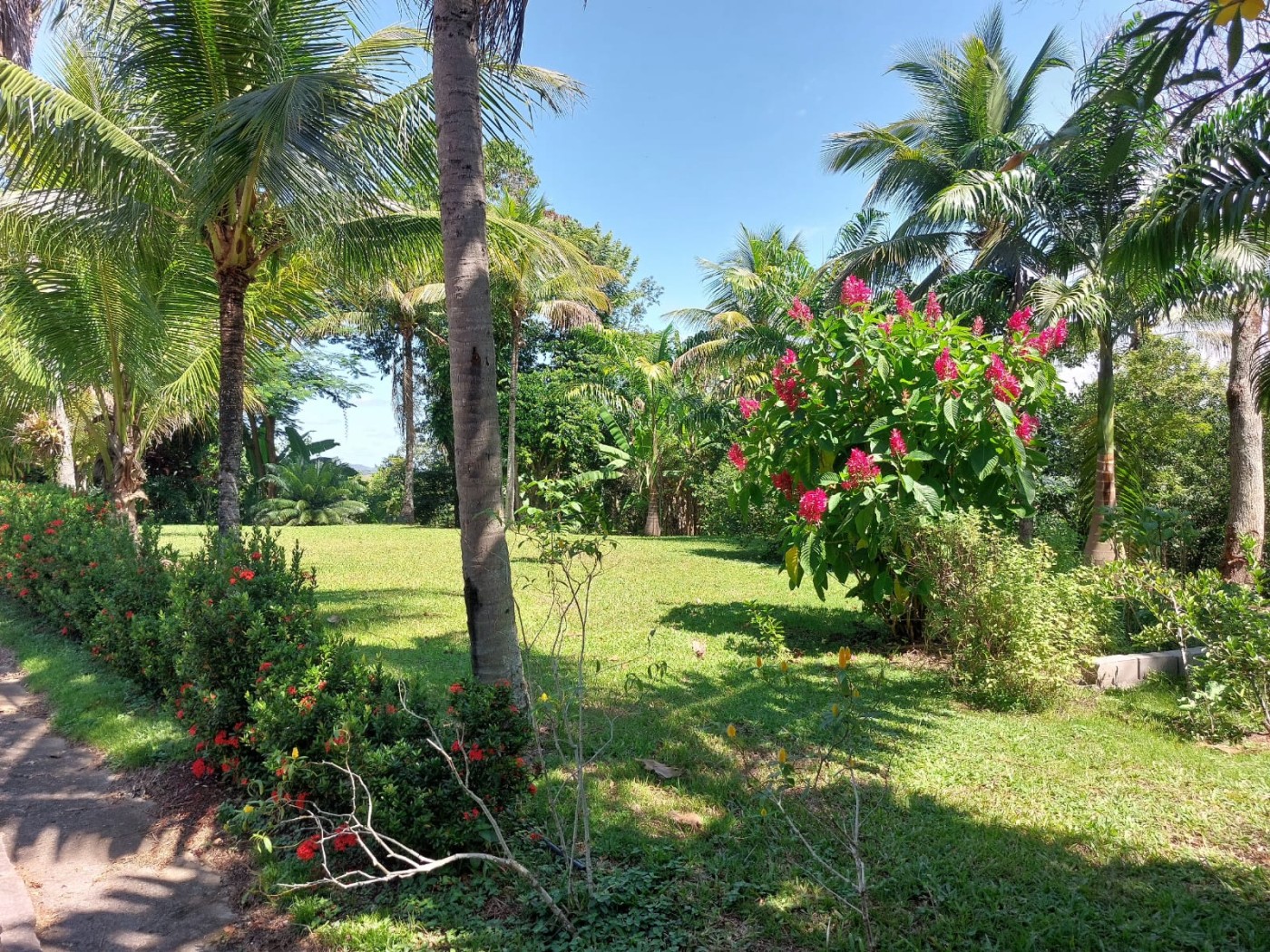 Sítio à venda com 7 quartos, 14m² - Foto 23