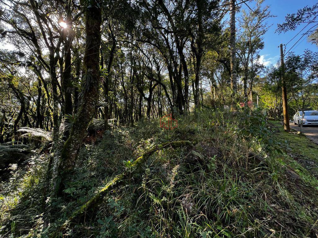 Loteamento e Condomínio à venda, 885M2 - Foto 4