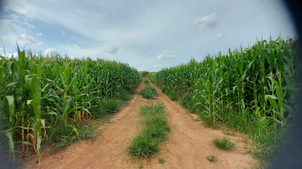 Fazenda à venda, 178m² - Foto 9