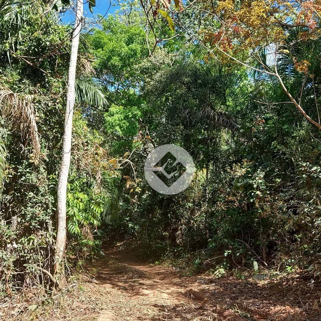 Fazenda à venda, 7170000M2 - Foto 3