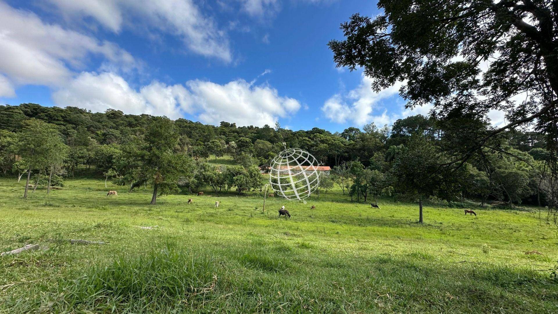 Terreno à venda, 20252M2 - Foto 7